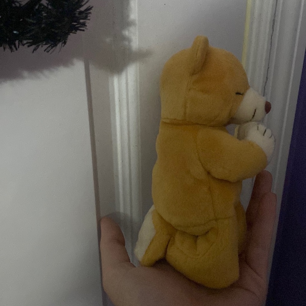 Original beanie baby 1998 hope